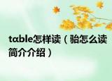 tαble怎样读（骀怎么读简介介绍）
