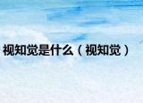 视知觉是什么（视知觉）