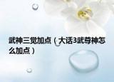 武神三觉加点（大话3武尊神怎么加点）