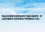 青山处处埋忠骨何须马革裹尸还的大概意思（青山处处埋忠骨 何须马革裹尸还意思简介介绍）