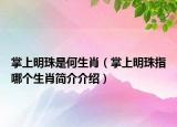 掌上明珠是何生肖（掌上明珠指哪个生肖简介介绍）