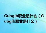 Gubgib职业是什么（Gubgib职业是什么）