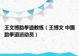 王文博跆拳道教练（王博文 中国跆拳道运动员）