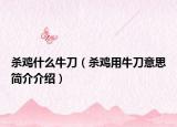杀鸡什么牛刀（杀鸡用牛刀意思简介介绍）