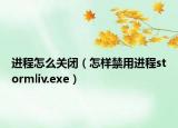 进程怎么关闭（怎样禁用进程stormliv.exe）
