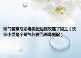 娇气包穿成恶毒男配后我攻略了男主（快穿小受是个娇气包要当恶毒男配）