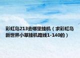 彩虹岛213去哪里挂机（求彩虹岛新世界小草挂机路线1-140的）