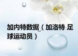加内特数据（加洛特 足球运动员）