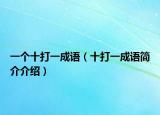 一个十打一成语（十打一成语简介介绍）