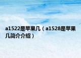 a1522是苹果几（a1528是苹果几简介介绍）