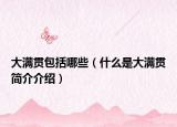 大满贯包括哪些（什么是大满贯简介介绍）