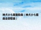 神犬小七里面歌曲（神犬小七插曲全部歌曲）