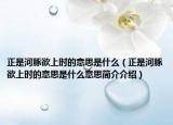 正是河豚欲上时的意思是什么（正是河豚欲上时的意思是什么意思简介介绍）