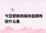今日更新刺身拼盘都有些什么鱼