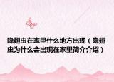 隐翅虫在家里什么地方出现（隐翅虫为什么会出现在家里简介介绍）