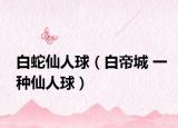 白蛇仙人球（白帝城 一种仙人球）