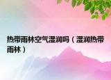 热带雨林空气湿润吗（湿润热带雨林）