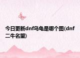 今日更新dnf乌龟是哪个图(dnf二牛名望)