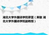湖北大学外国语学院蔡蕾（黄敏 湖北大学外国语学院副教授）