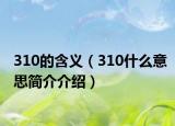310的含义（310什么意思简介介绍）