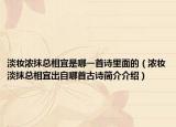 淡妆浓抹总相宜是哪一首诗里面的（浓妆淡抹总相宜出自哪首古诗简介介绍）