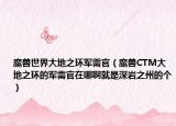 魔兽世界大地之环军需官（魔兽CTM大地之环的军需官在哪啊就是深岩之州的个）