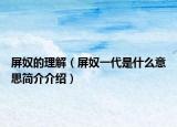 屏奴的理解（屏奴一代是什么意思简介介绍）