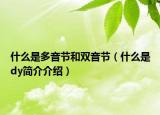 什么是多音节和双音节（什么是dy简介介绍）