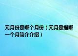 元月份是哪个月份（元月是指哪一个月简介介绍）