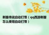 刺客传说自动打怪（qq西游刺客怎么使用自动打怪）