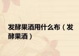 发酵果酒用什么布（发酵果酒）