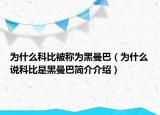 为什么科比被称为黑曼巴（为什么说科比是黑曼巴简介介绍）