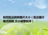 如何批量转换图片大小（批量图片格式转换 大小调整软件）