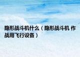 隐形战斗机什么（隐形战斗机 作战用飞行设备）