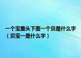 一个宝盖头下面一个贝是什么字（贝宝一是什么字）