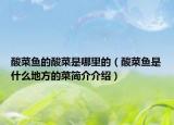酸菜鱼的酸菜是哪里的（酸菜鱼是什么地方的菜简介介绍）