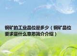 铜矿的工业品位是多少（铜矿品位要求是什么意思简介介绍）