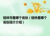 桂林市是哪个省份（桂林是哪个省份简介介绍）