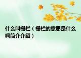 什么叫栅栏（栅栏的意思是什么啊简介介绍）