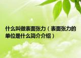 什么叫做表面张力（表面张力的单位是什么简介介绍）