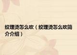 纹理烫怎么吹（纹理烫怎么吹简介介绍）