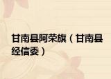 甘南县阿荣旗（甘南县经信委）