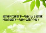 接天莲叶无穷碧,下一句是什么（接天莲叶无穷碧的下一句是什么简介介绍）