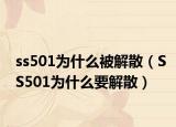ss501为什么被解散（SS501为什么要解散）