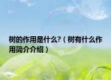 树的作用是什么?（树有什么作用简介介绍）