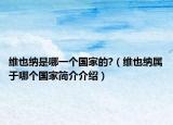 维也纳是哪一个国家的?（维也纳属于哪个国家简介介绍）