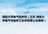 湖南大学电气院教授（王玲 湖南大学电气与信息工程学院博士生导师）