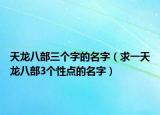 天龙八部三个字的名字（求一天龙八部3个性点的名字）