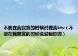 不要在我寂寞的时候说爱我ktv（不要在我寂寞的时候说爱我歌词）