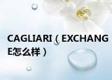 CAGLIARI（EXCHANGE怎么样）